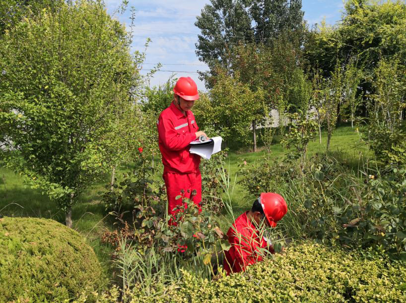 1658540917772492.jpg 78c52454-252d-43a9-84b9-9fff6f764abd.jpg