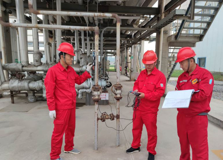 1658541011531049.jpg 3d7aa1fe-a704-49c1-a47d-b8c827efbaf7.jpg